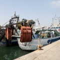 Pinzells al port