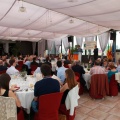 Premios Fadrí
