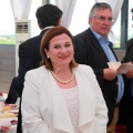 Premios Fadrí