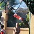 XV Trobada de Bèsties de Foc