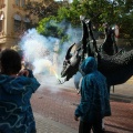 XV Trobada de Bèsties de Foc