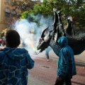XV Trobada de Bèsties de Foc