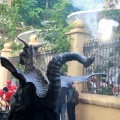 XV Trobada de Bèsties de Foc