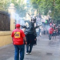 XV Trobada de Bèsties de Foc