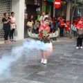 XV Trobada de Bèsties de Foc