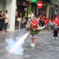 XV Trobada de Bèsties de Foc