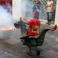 XV Trobada de Bèsties de Foc