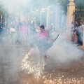 XV Trobada de Bèsties de Foc
