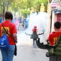 XV Trobada de Bèsties de Foc