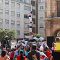 XV Trobada de Bèsties de Foc