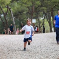V Mini-Mim