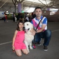 Exposición canina