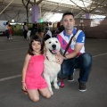Exposición canina