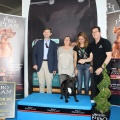 Exposición canina
