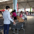 Exposición canina