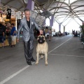 Exposición canina
