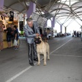Exposición canina