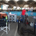 Exposición canina