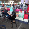Exposición canina