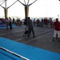 Exposición canina