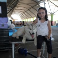 Exposición canina