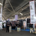 Exposición canina