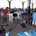 Exposición canina