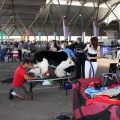 Exposición canina