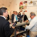 IMEX Castellón