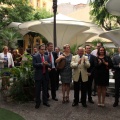 IMEX