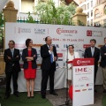 IMEX