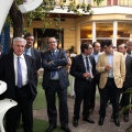 IMEX