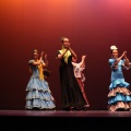 XVIII Festival de danza Coppelia