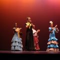 XVIII Festival de danza Coppelia