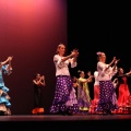 XVIII Festival de danza Coppelia