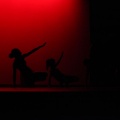 XVIII Festival de danza Coppelia