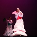 XVIII Festival de danza Coppelia