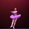 XVIII Festival de danza Coppelia