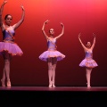 XVIII Festival de danza Coppelia