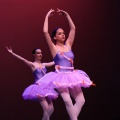 XVIII Festival de danza Coppelia