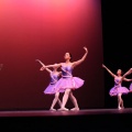 XVIII Festival de danza Coppelia