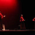 XVIII Festival de danza Coppelia