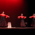 XVIII Festival de danza Coppelia