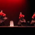 XVIII Festival de danza Coppelia