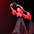 XVIII Festival de danza Coppelia