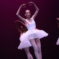 XVIII Festival de danza Coppelia