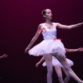 XVIII Festival de danza Coppelia