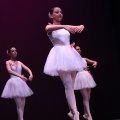 XVIII Festival de danza Coppelia