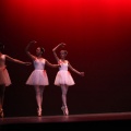 XVIII Festival de danza Coppelia