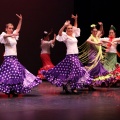 XVIII Festival de danza Coppelia